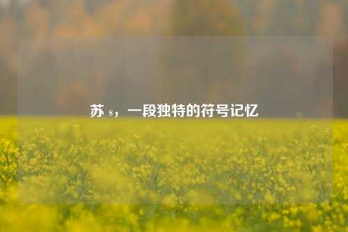 苏 s，一段独特的符号记忆