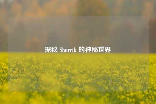 探秘 Shurrik 的神秘世界