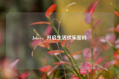 Jokey，开启生活欢乐密码