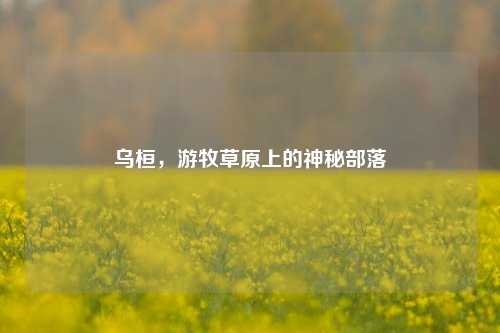 乌桓，游牧草原上的神秘部落