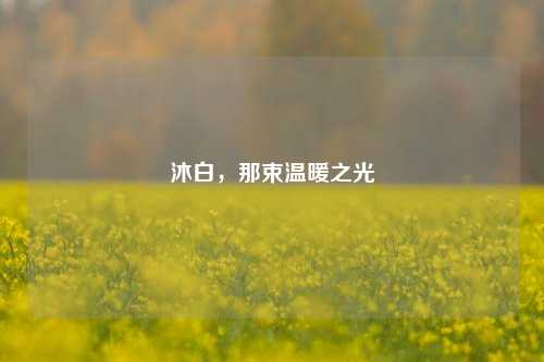 沐白，那束温暖之光