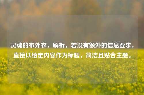 灵魂的布外衣，解析，若没有额外的信息要求，直接以给定内容作为标题，简洁且贴合主题。
