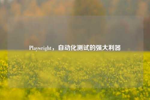 Playwright，自动化测试的强大利器
