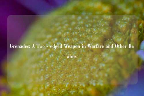 Grenades: A Two - edged Weapon in Warfare and Other Realms