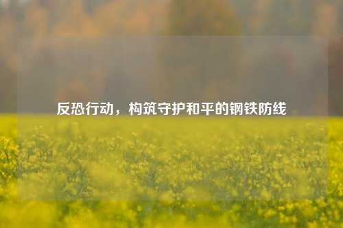 反恐行动，构筑守护和平的钢铁防线