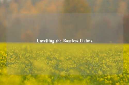 Unveiling the Baseless Claims