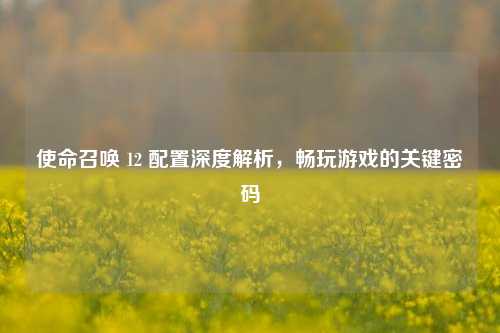 使命召唤 12 配置深度解析，畅玩游戏的关键密码