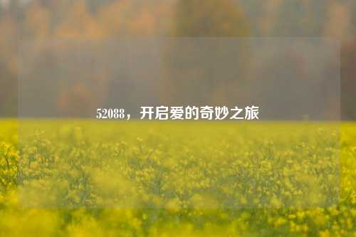 52088，开启爱的奇妙之旅