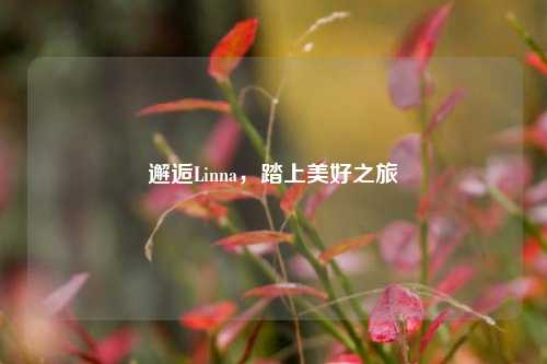 邂逅Linna，踏上美好之旅