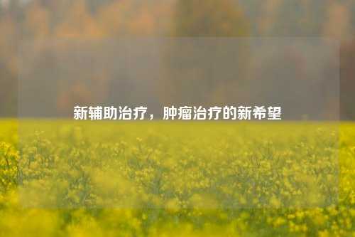 新辅助治疗，肿瘤治疗的新希望