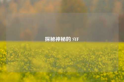 探秘神秘的 SYF